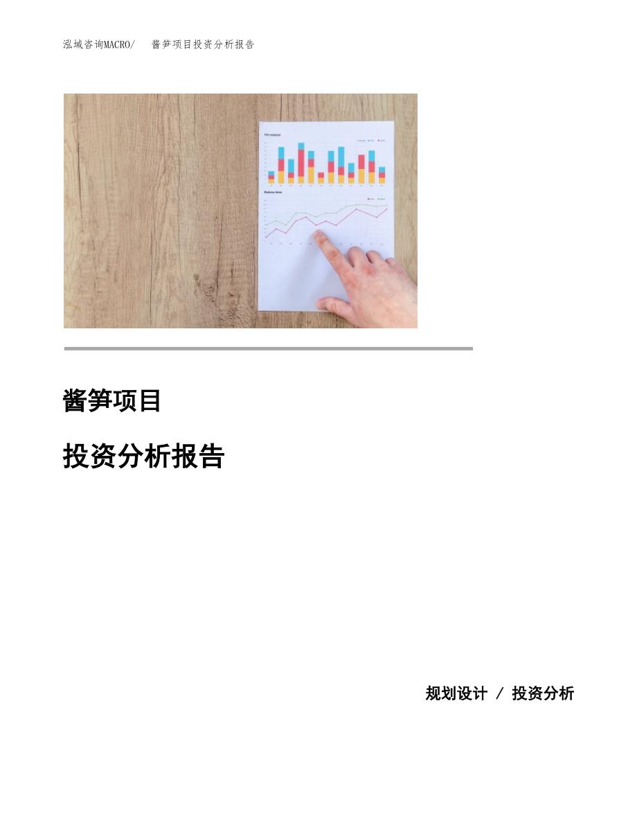 酱笋项目投资分析报告(总投资8000万元)_第1页