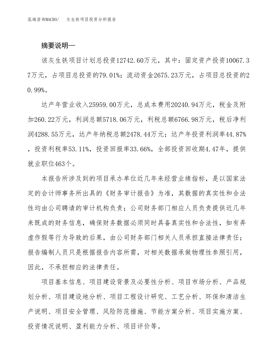 灰生铁项目投资分析报告(总投资13000万元)_第2页