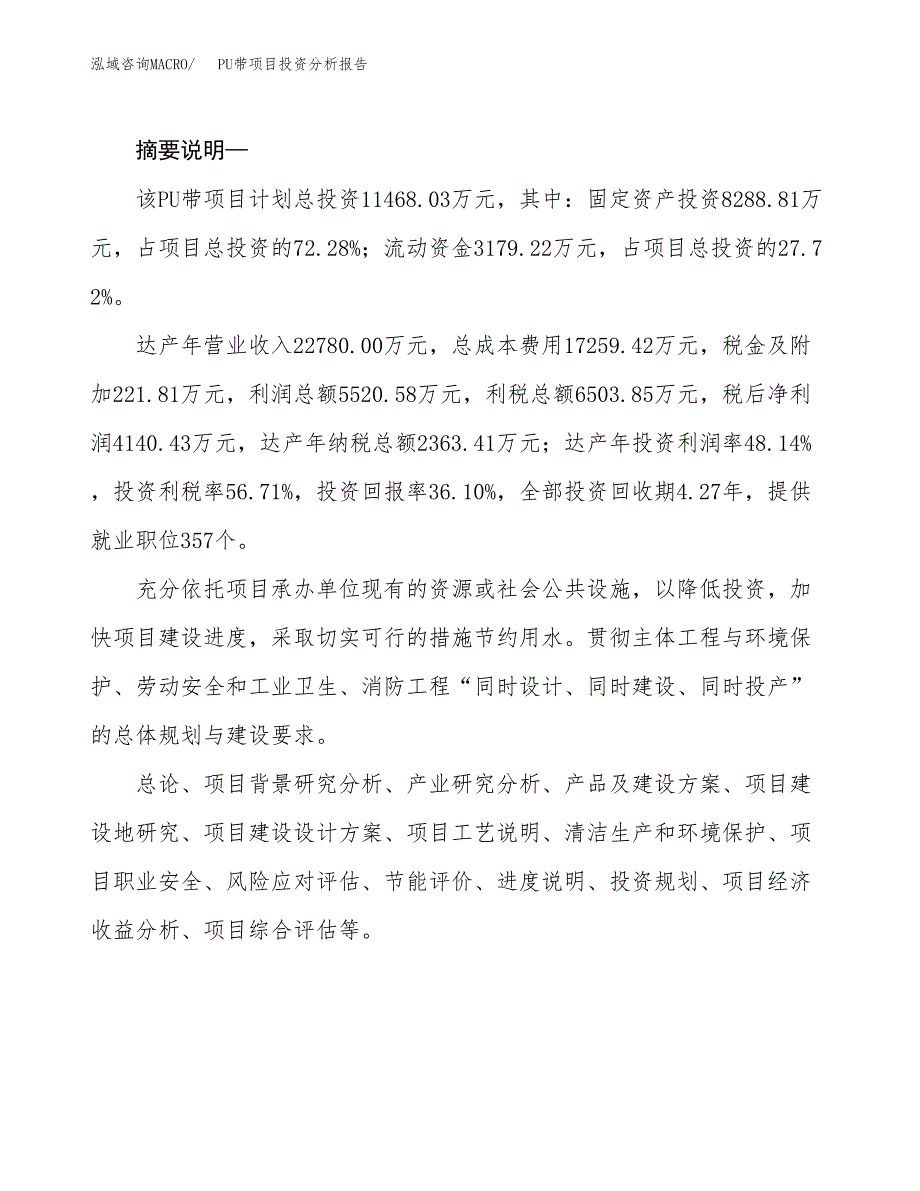 PU带项目投资分析报告(总投资6000万元)_第2页