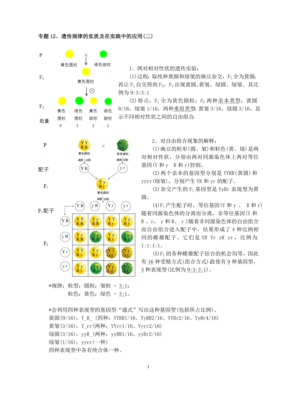 专题12遗传规律的实质及在实践中的应用二教案_第1页