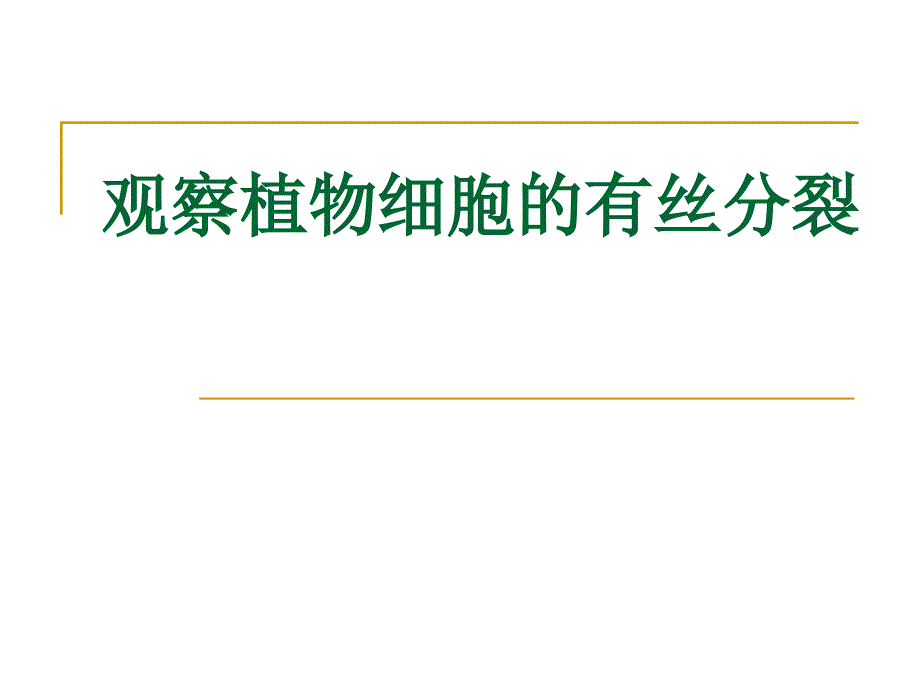 观察植物细胞的 有丝 分裂_第1页