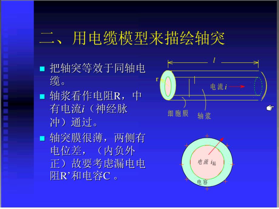 神经轴突的神经传导的电学模型课件_第2页