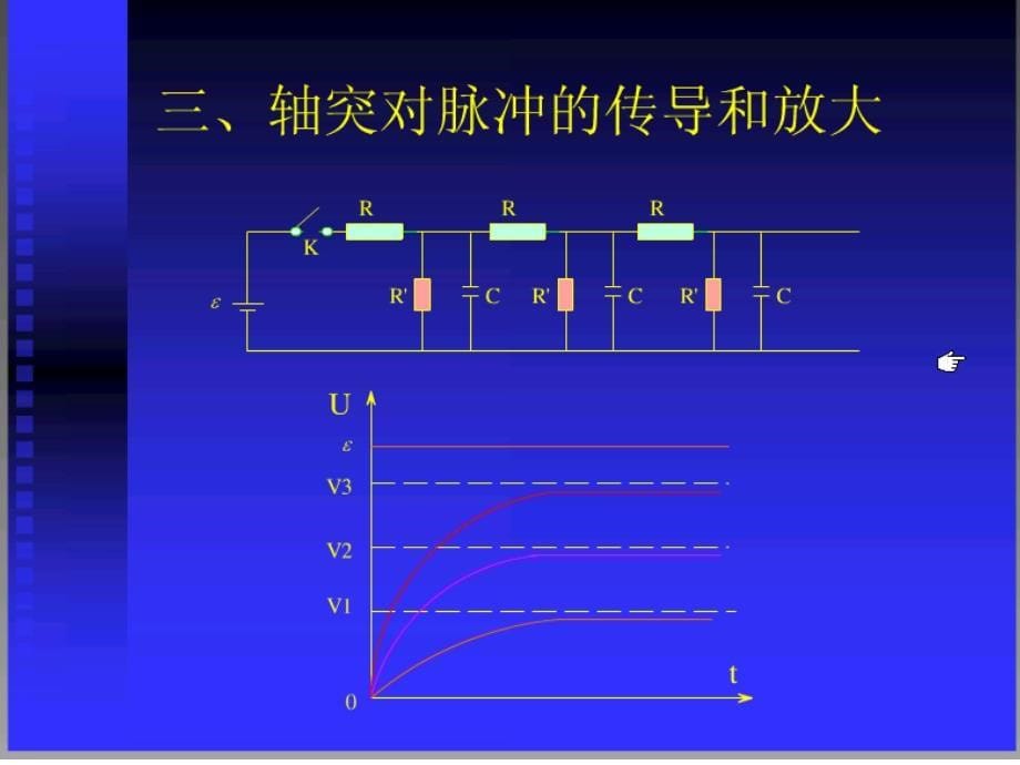 神经轴突的神经传导的电学模型课件_第5页