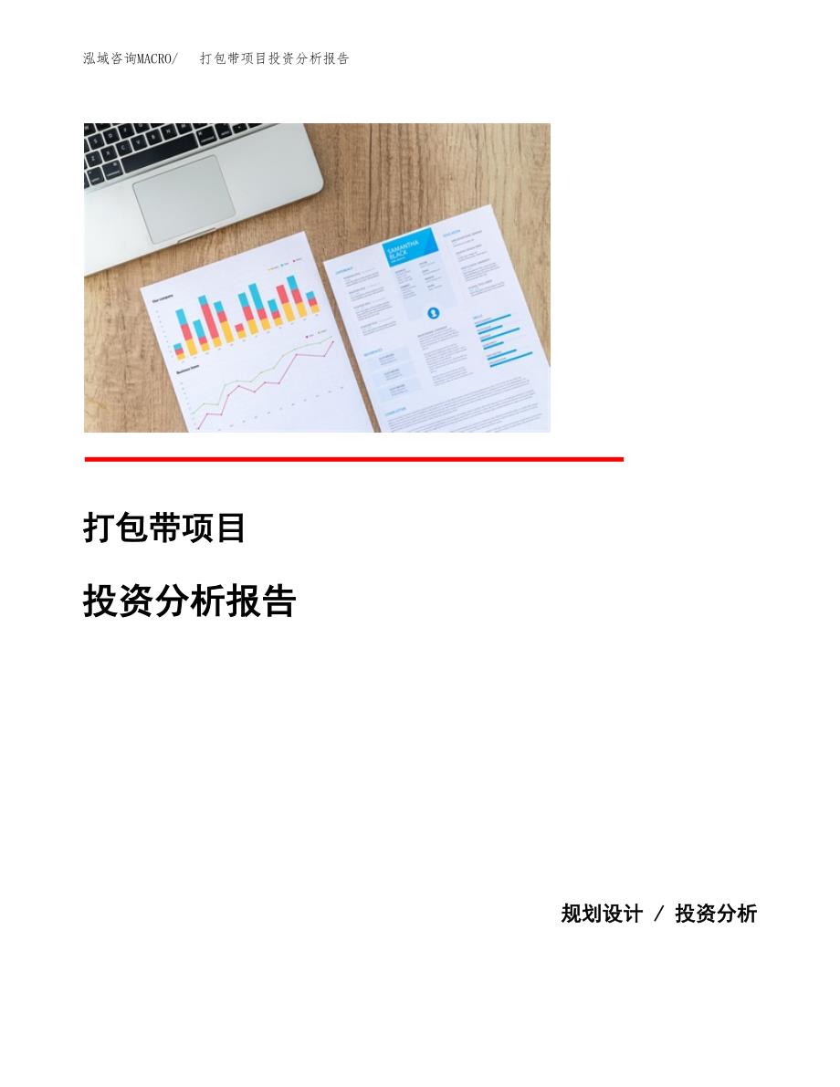 打包带项目投资分析报告(总投资6000万元)_第1页