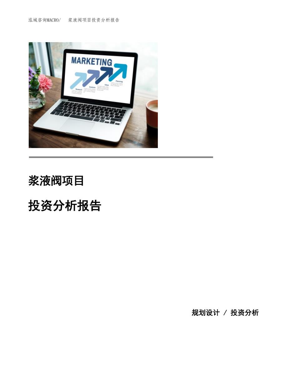 浆液阀项目投资分析报告(总投资3000万元)_第1页