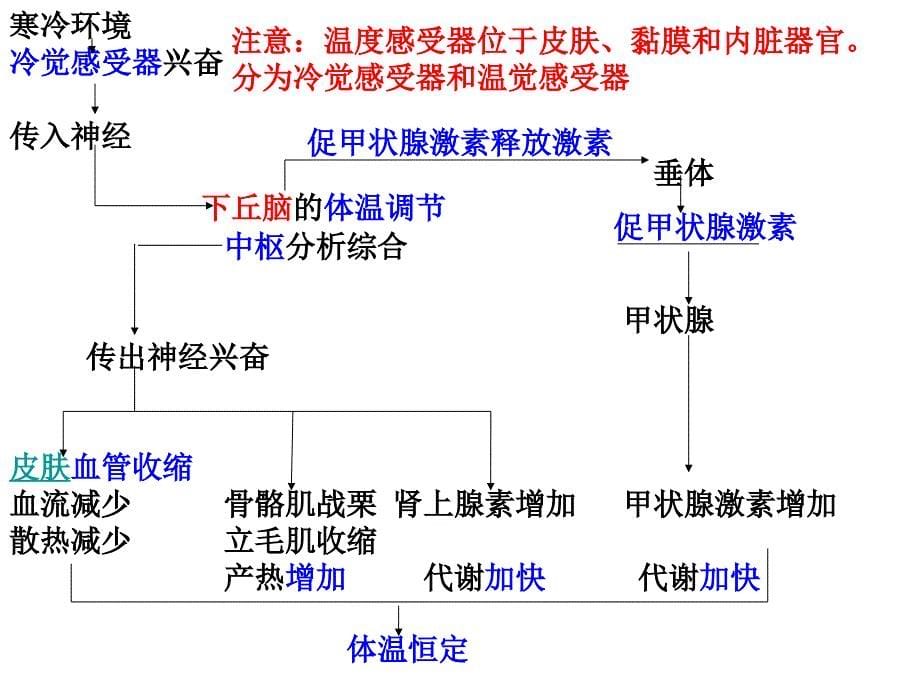 生物第5节神经调节和体液调节的关系_第5页