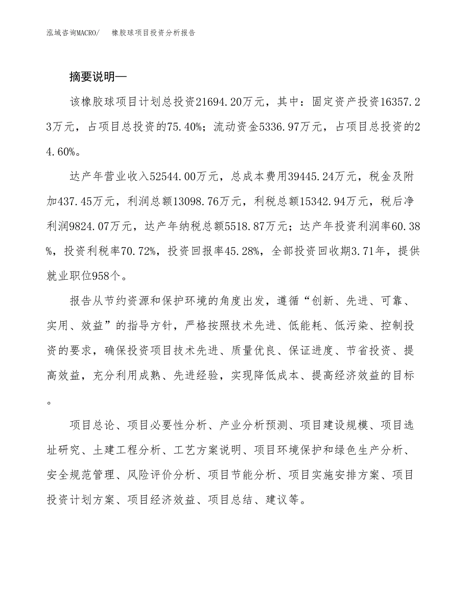 橡胶球项目投资分析报告(总投资22000万元)_第2页