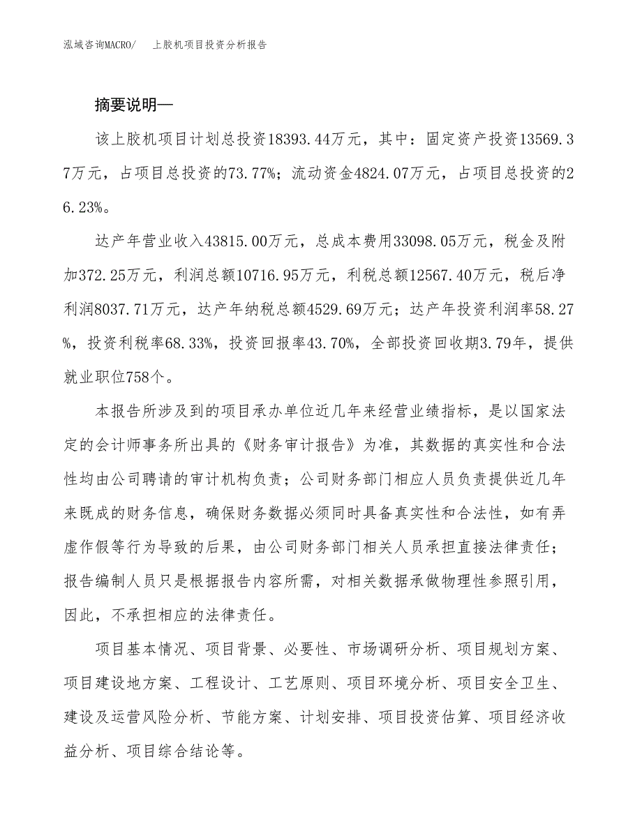 上胶机项目投资分析报告(总投资18000万元)_第2页