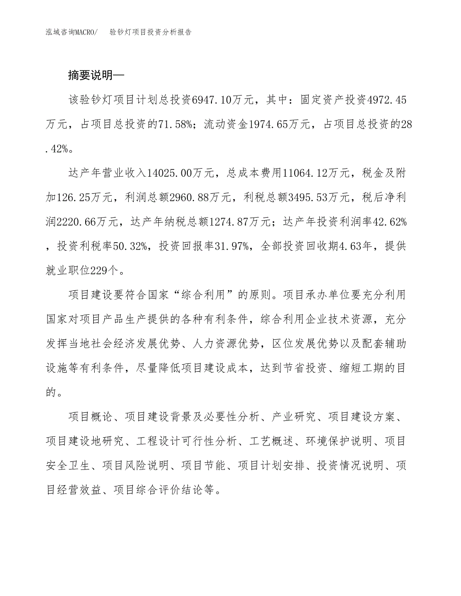 验钞灯项目投资分析报告(总投资7000万元)_第2页