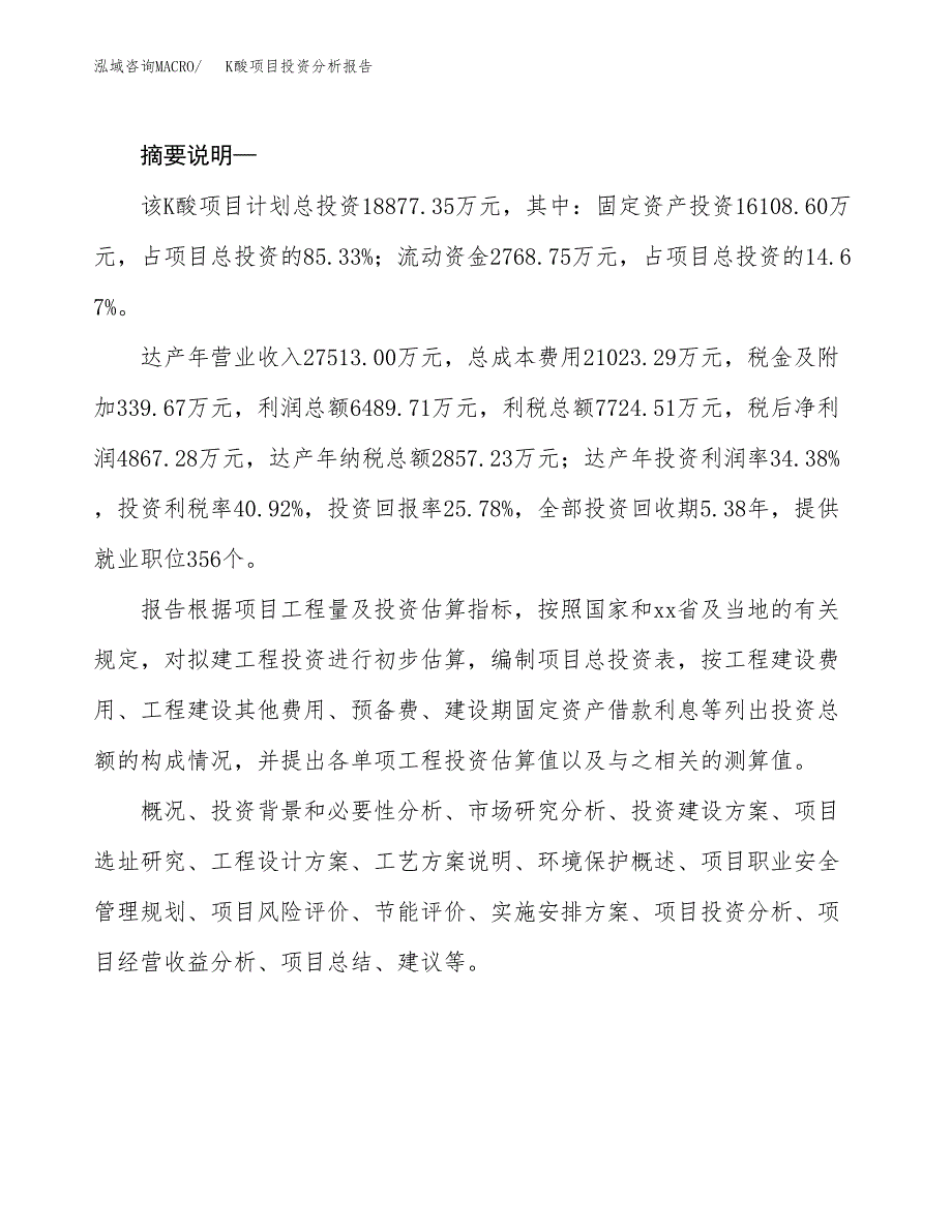 K酸项目投资分析报告(总投资19000万元)_第2页