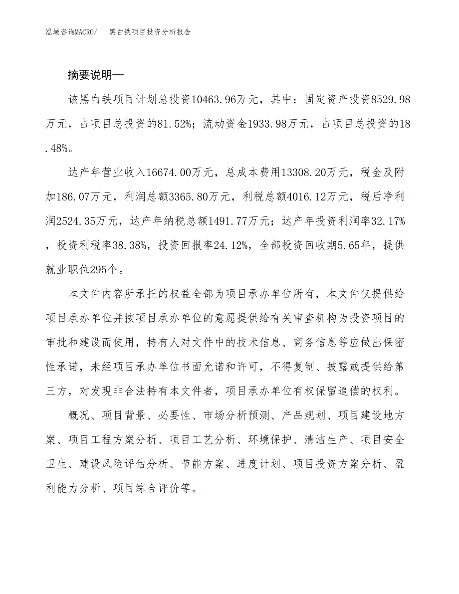 黑白铁项目投资分析报告(总投资10000万元)_第2页