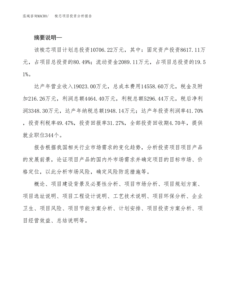 梭芯项目投资分析报告(总投资11000万元)_第2页