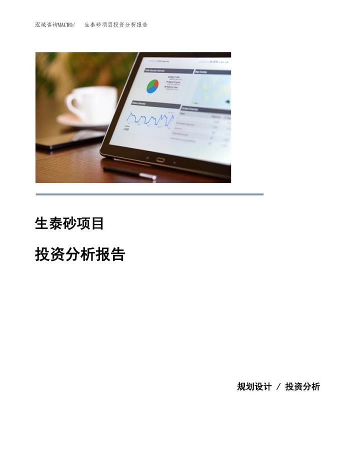 生泰砂项目投资分析报告(总投资13000万元)
