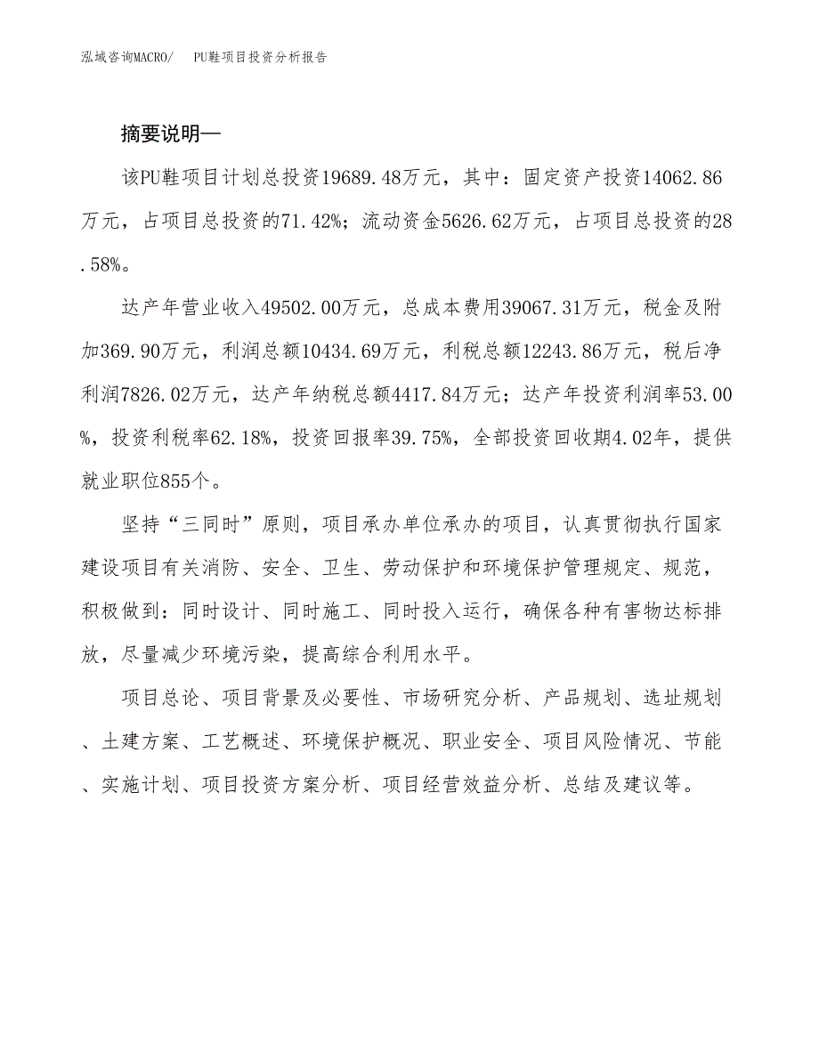 PU鞋项目投资分析报告(总投资20000万元)_第2页