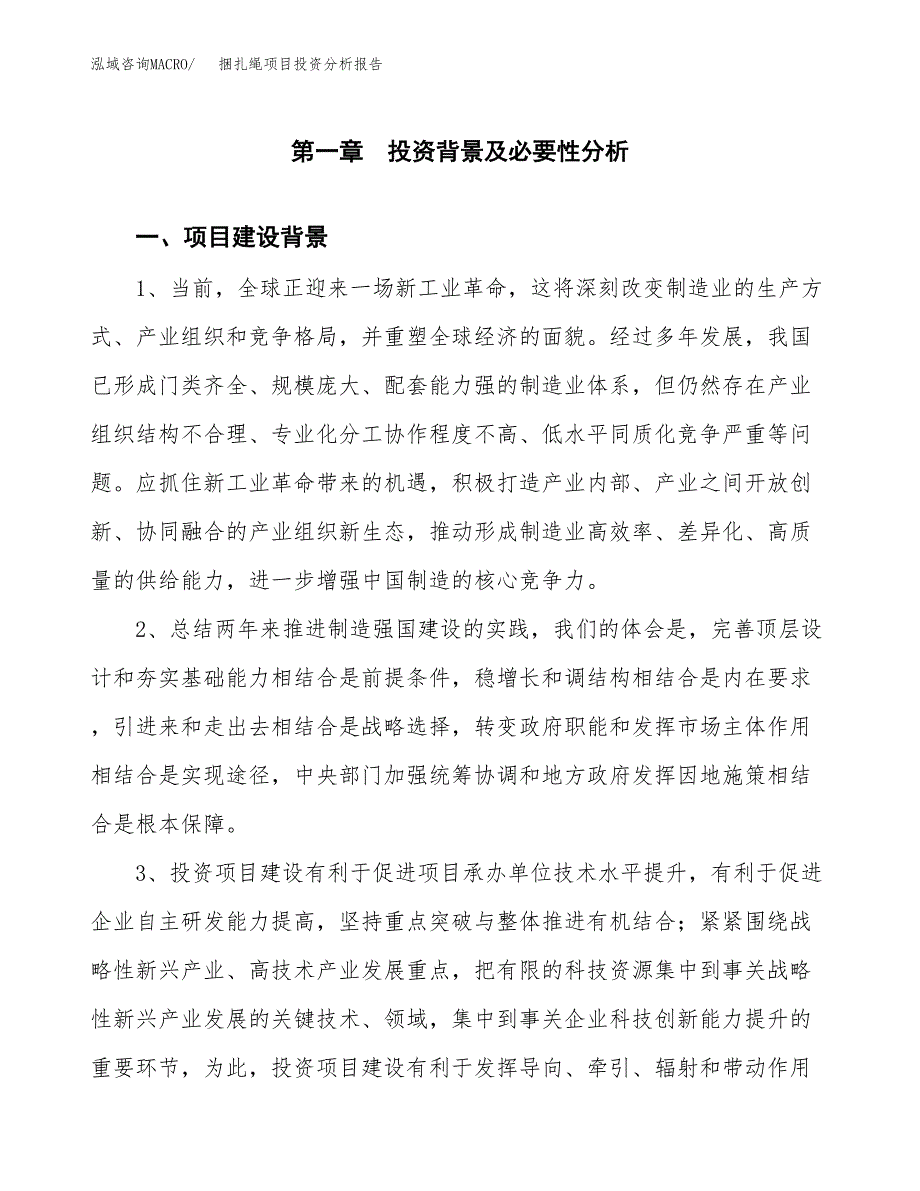 捆扎绳项目投资分析报告(总投资19000万元)_第3页