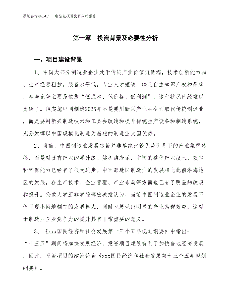 电脑包项目投资分析报告(总投资21000万元)_第3页