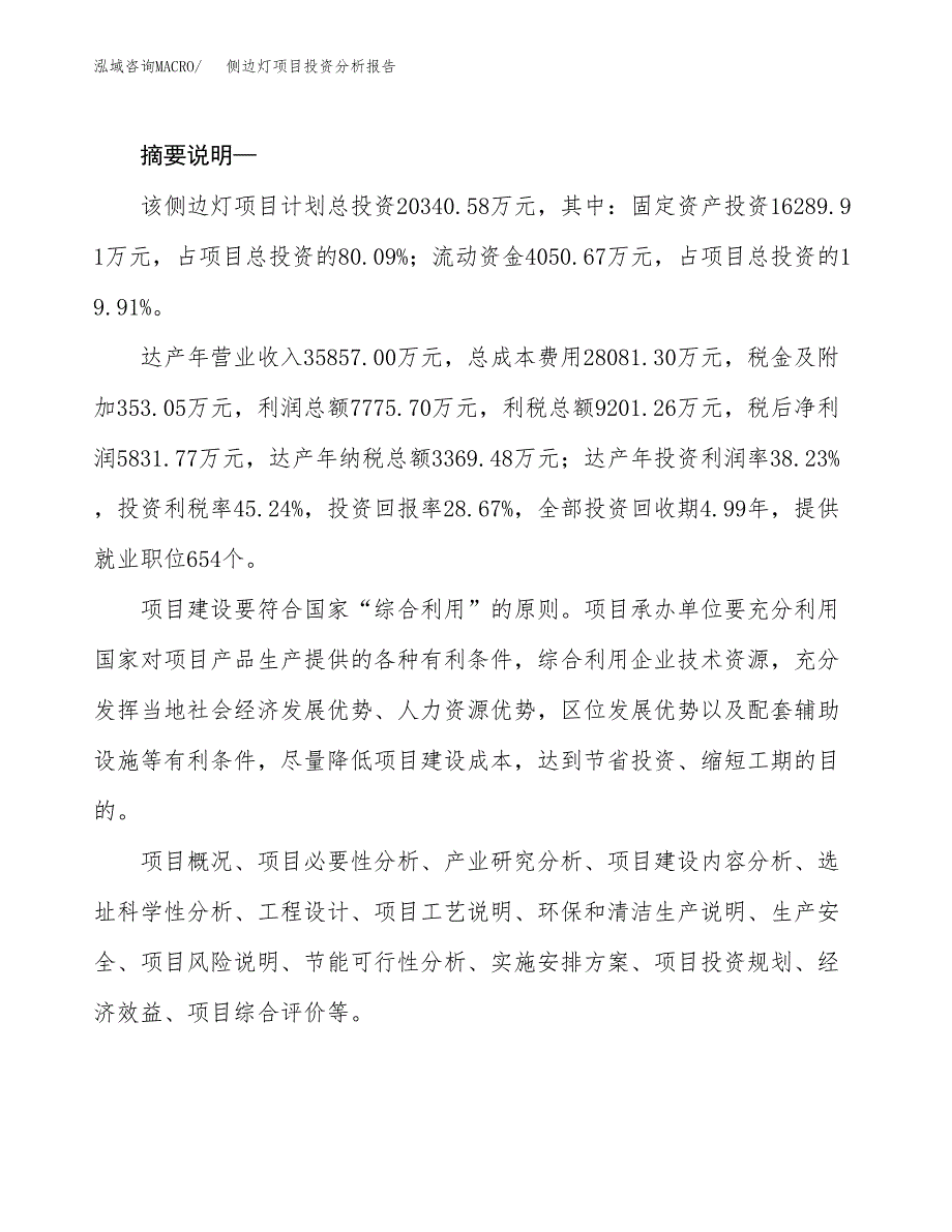 侧边灯项目投资分析报告(总投资20000万元)_第2页