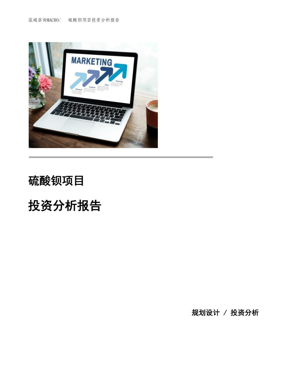 硫酸钡项目投资分析报告(总投资4000万元)_第1页