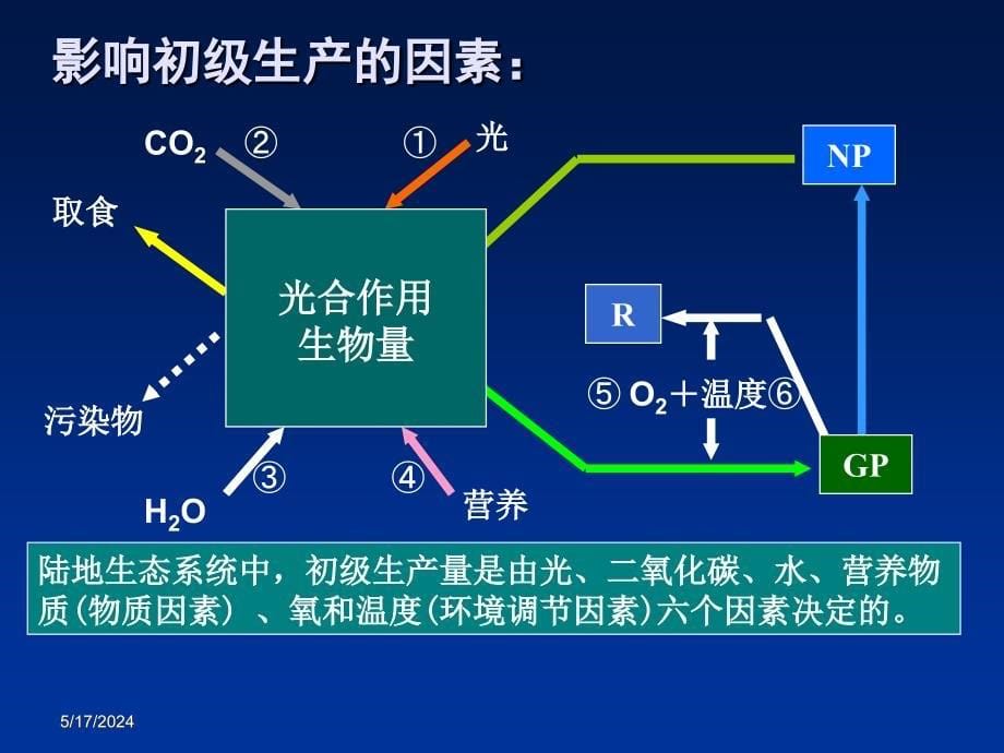 生态学课件第五章节2课件_第5页