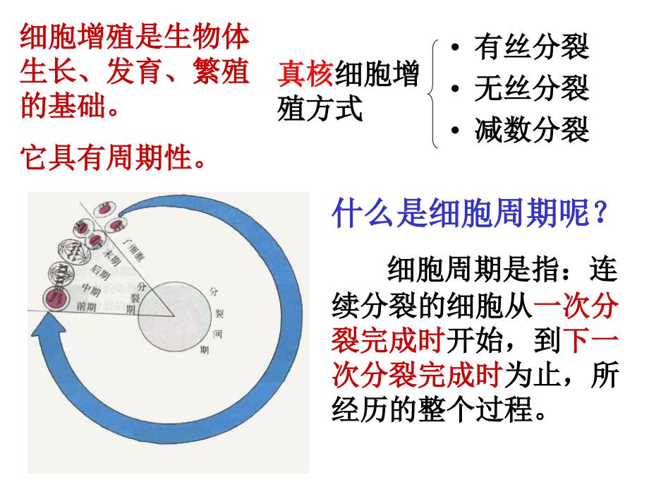 生物课件考点6细胞的生长和增殖_第4页