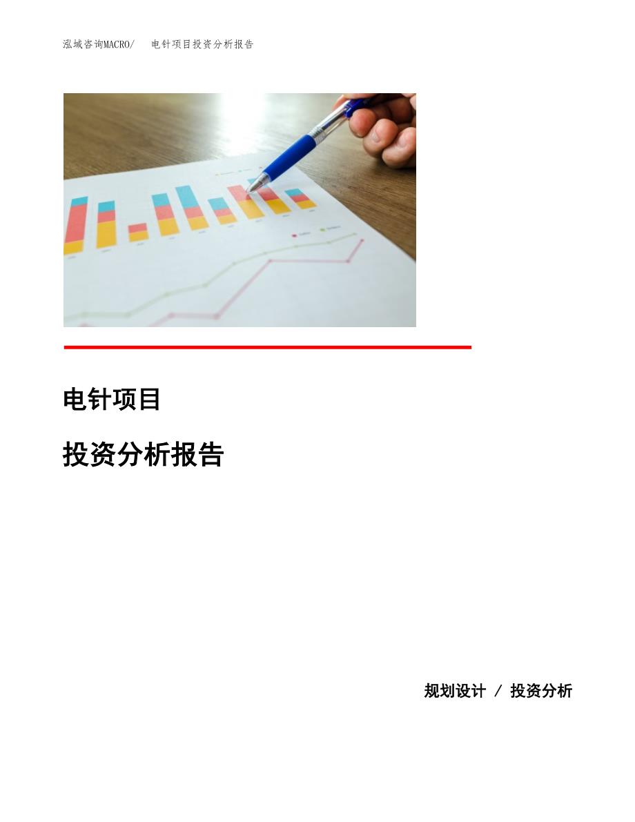 电针项目投资分析报告(总投资19000万元)_第1页