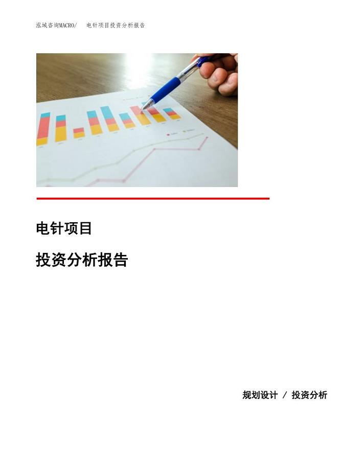 电针项目投资分析报告(总投资19000万元)
