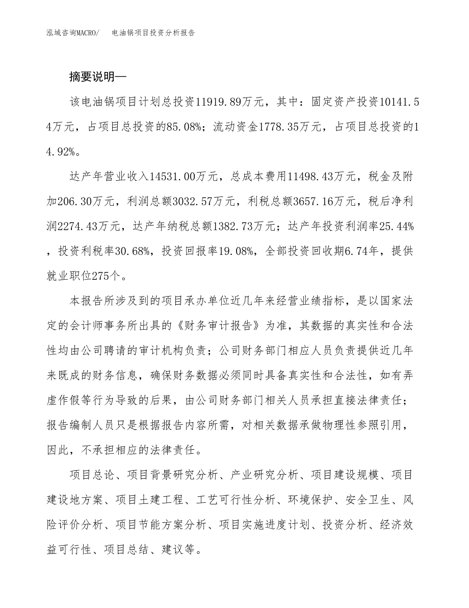 电油锅项目投资分析报告(总投资12000万元)_第2页