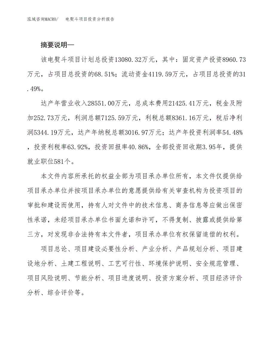 电熨斗项目投资分析报告(总投资13000万元)_第2页