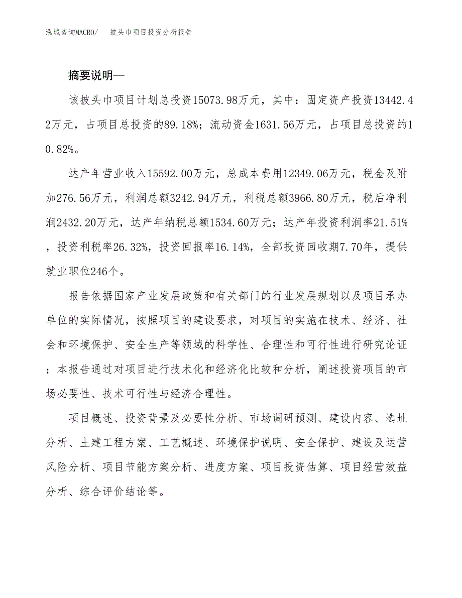 披头巾项目投资分析报告(总投资15000万元)_第2页