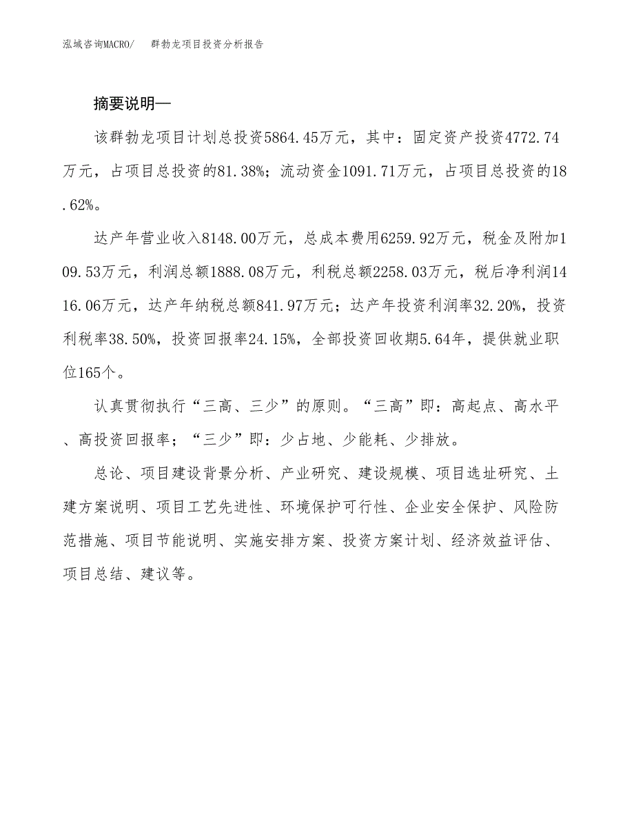 群勃龙项目投资分析报告(总投资6000万元)_第2页