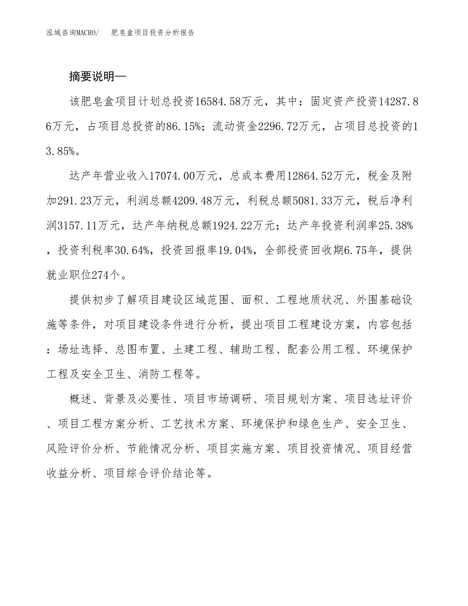 肥皂盒项目投资分析报告(总投资17000万元)_第2页