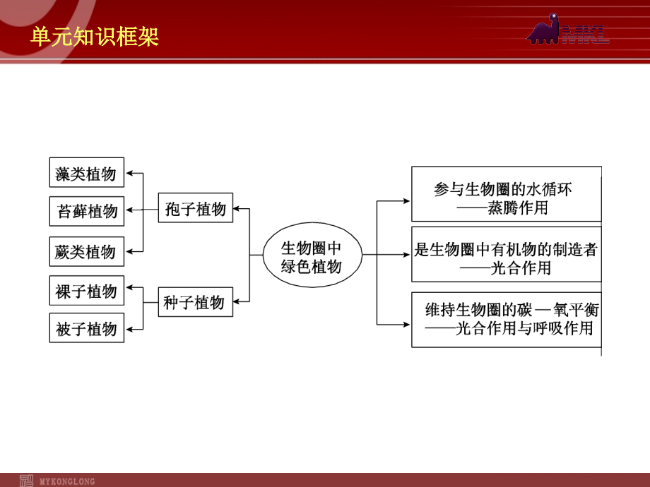 生物中考2013年中考生物复习精品课件26课2013年中考生物复习课件第2单元生物新课标人教版_第3页