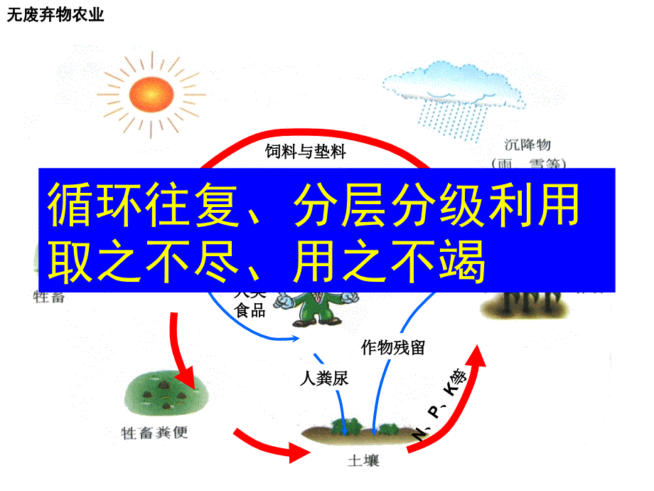 生态工程北师大课件_第4页