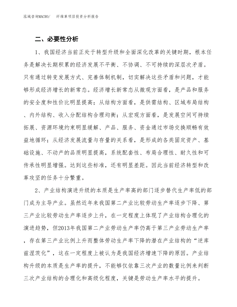 纤维革项目投资分析报告(总投资5000万元)_第4页