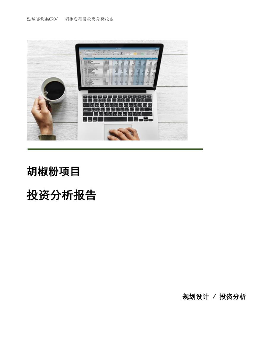 胡椒粉项目投资分析报告(总投资7000万元)_第1页