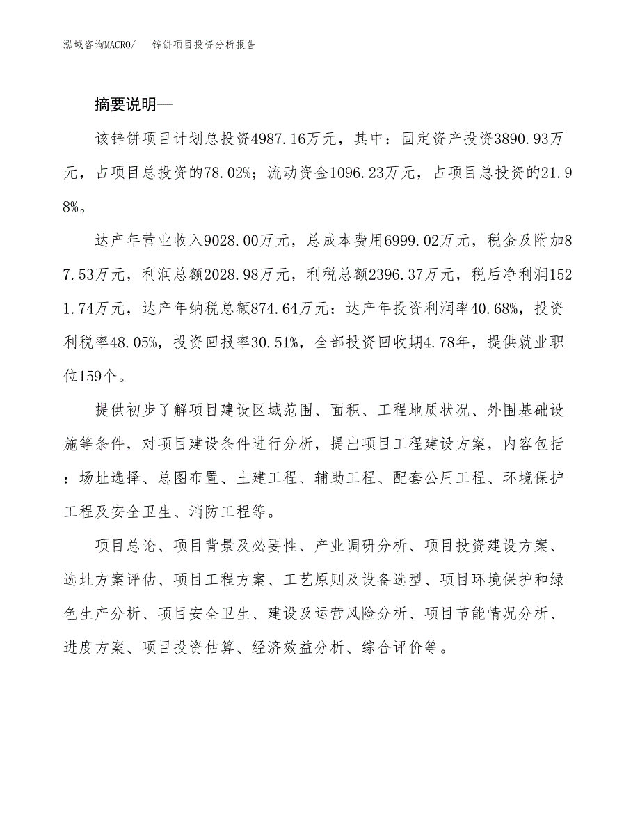 锌饼项目投资分析报告(总投资5000万元)_第2页