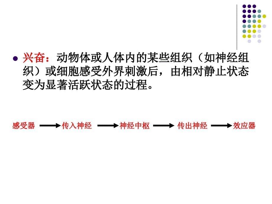 生物课件21通过神经系统的调节文科课件_第5页