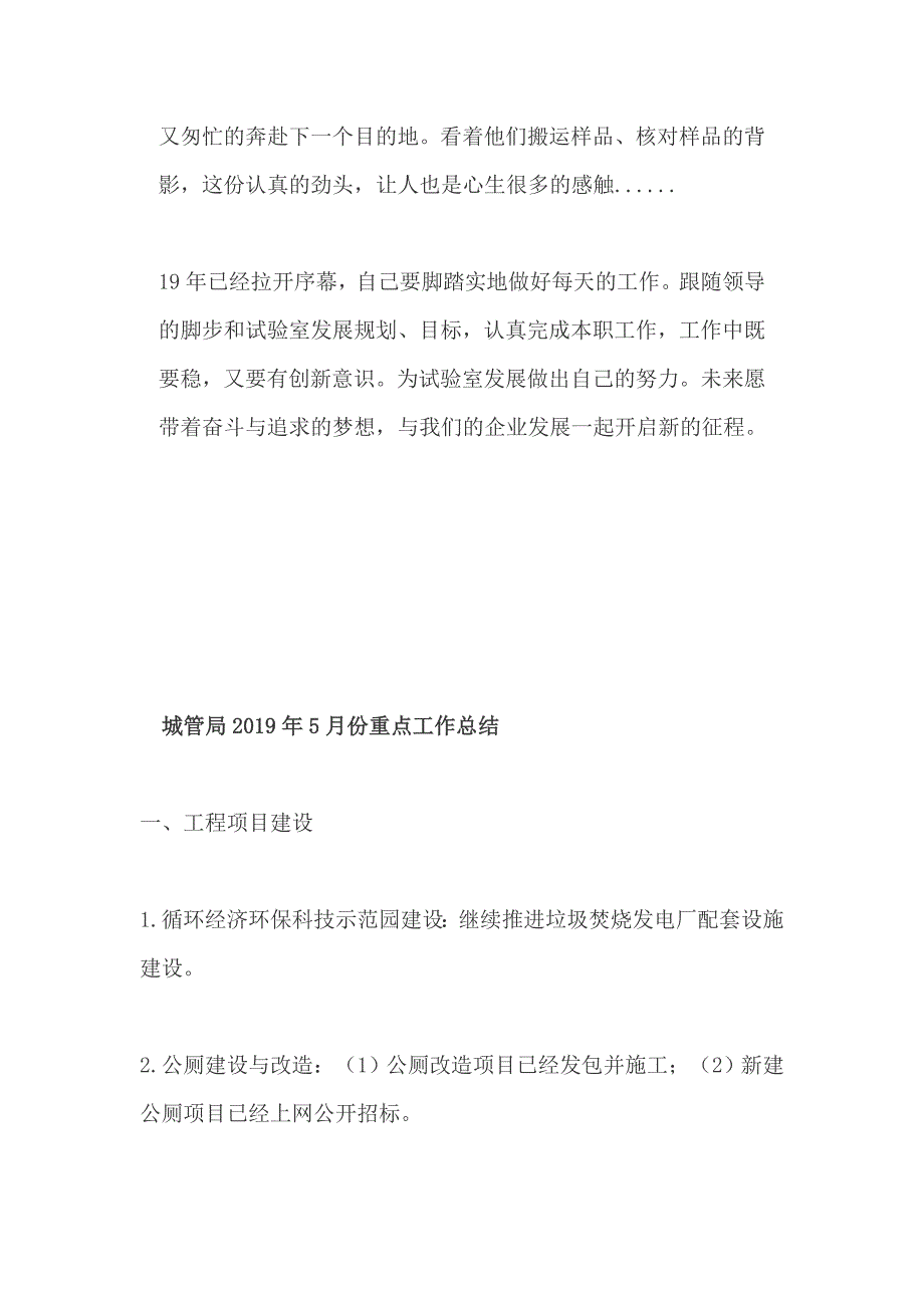 工程师2018年工作、和 城管局2019年5月份重点工作、总结两篇_第4页