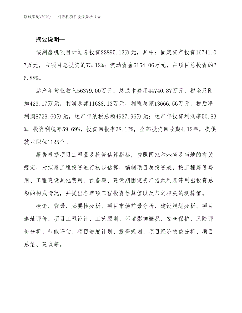 刻磨机项目投资分析报告(总投资23000万元)_第2页