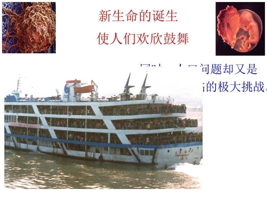 生物前言课件_第5页