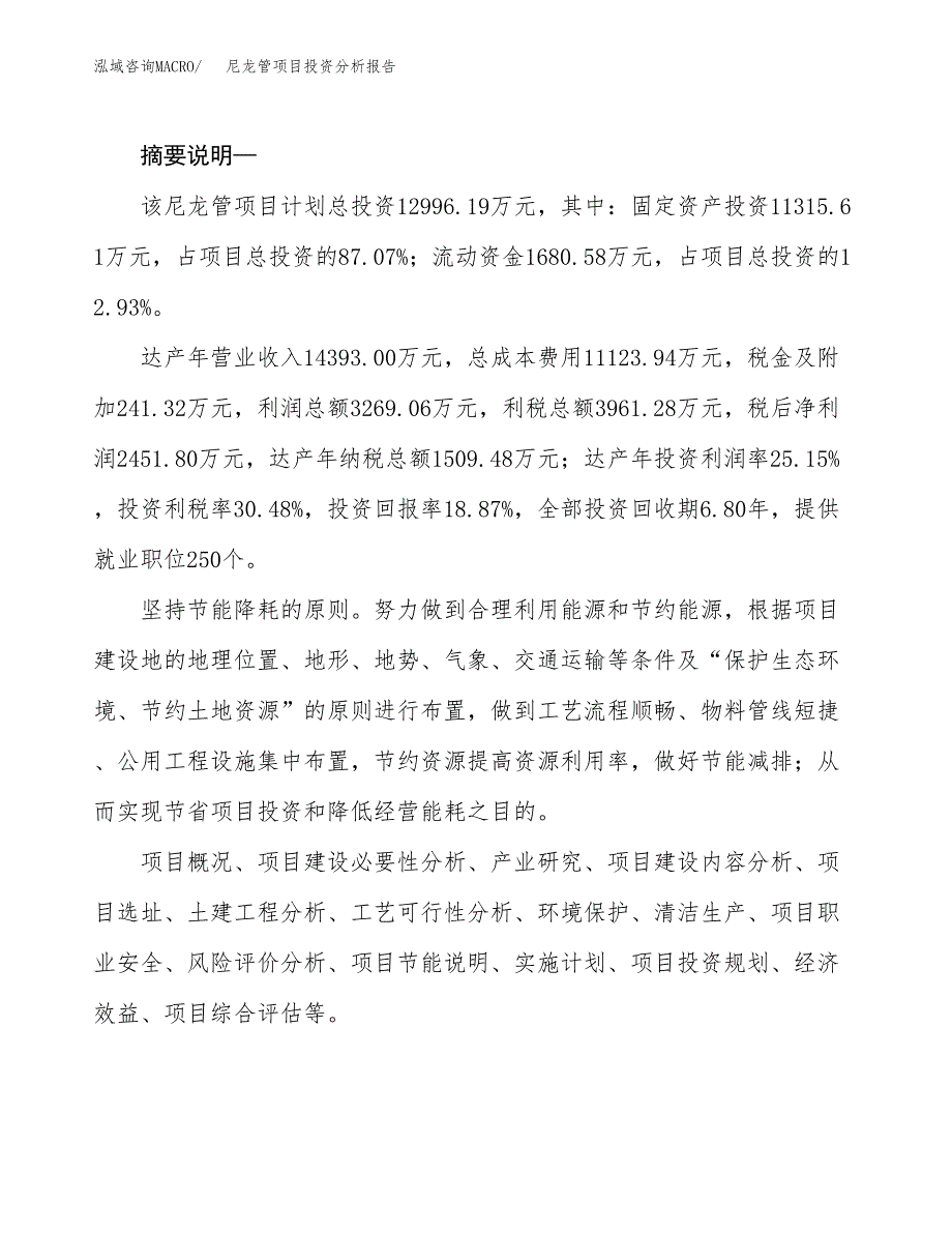 尼龙管项目投资分析报告(总投资13000万元)_第2页