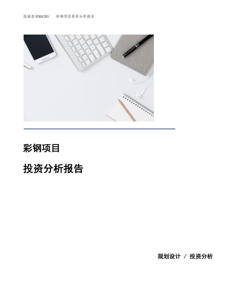 彩钢项目投资分析报告(总投资12000万元)_第1页