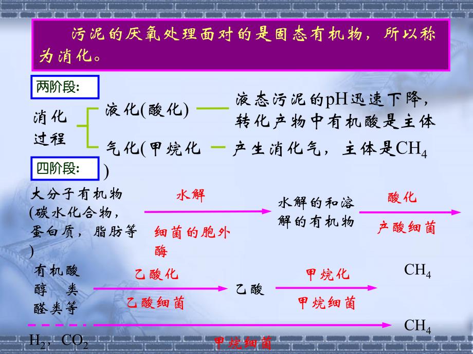 水污染控制工程第十五章污水的厌氧生物处理_第3页