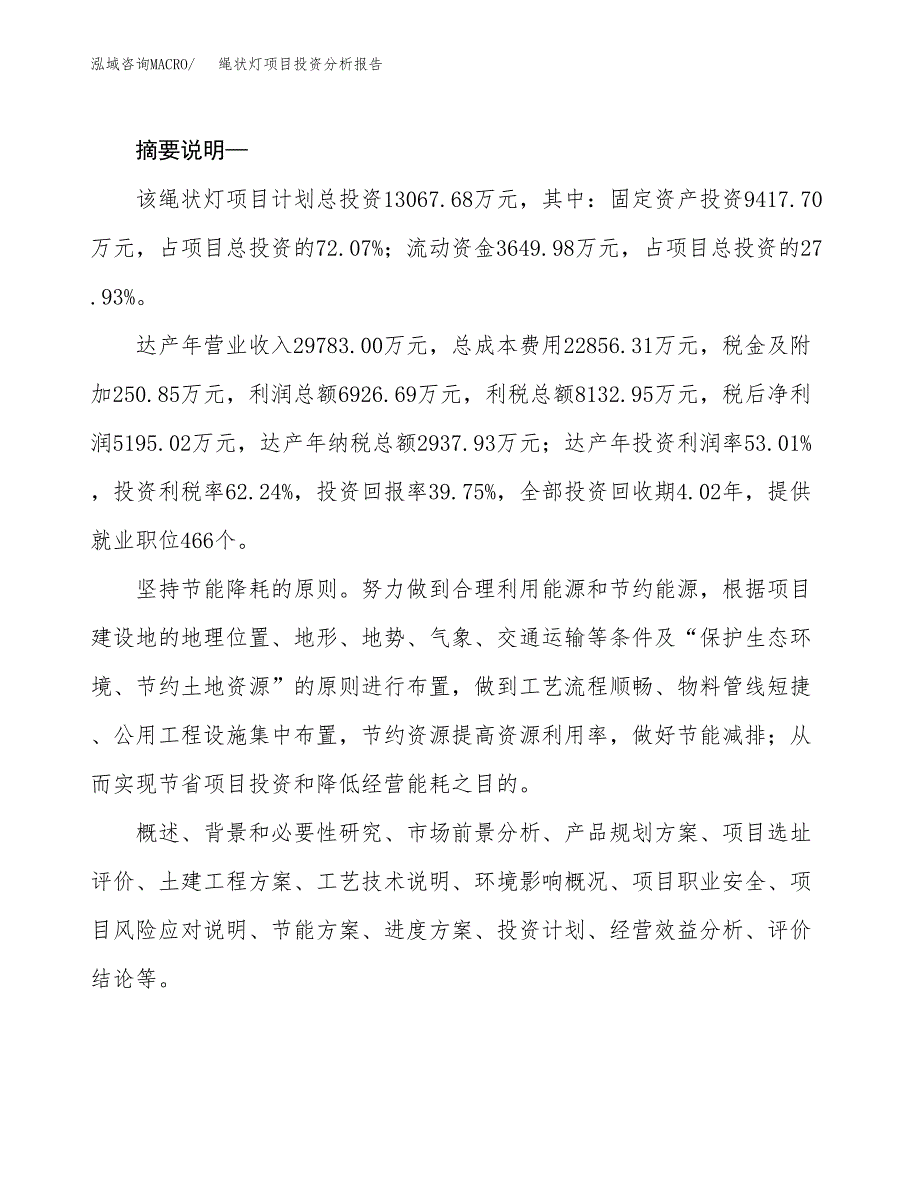 绳状灯项目投资分析报告(总投资13000万元)_第2页