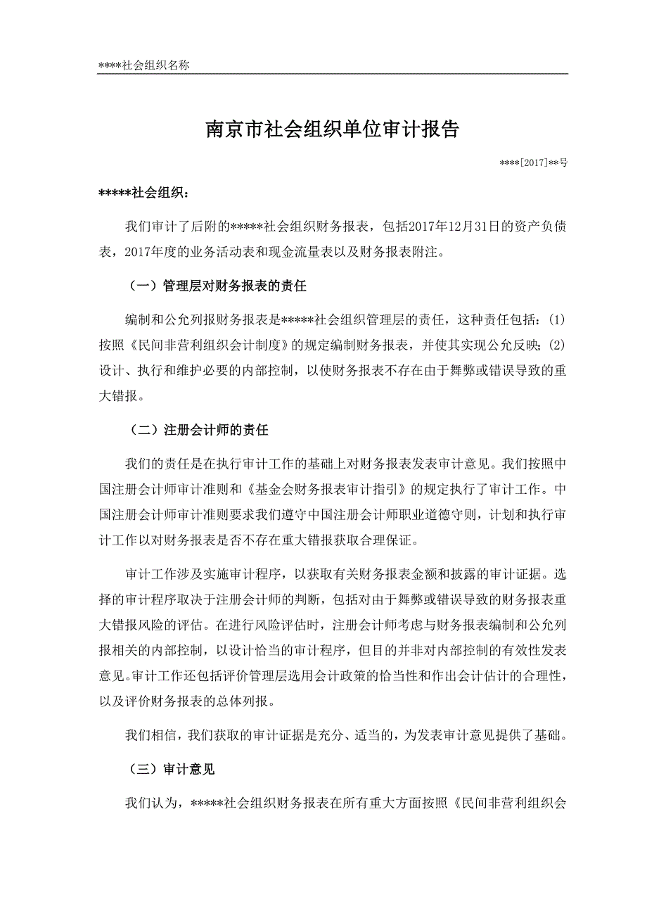 南京社会组织单位审计报告_第1页