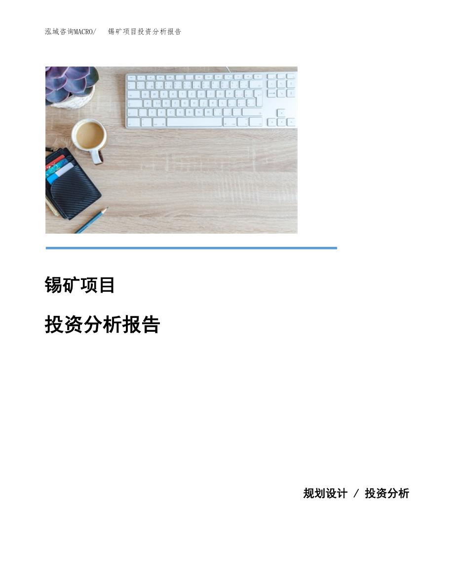 锡矿项目投资分析报告(总投资19000万元)_第1页