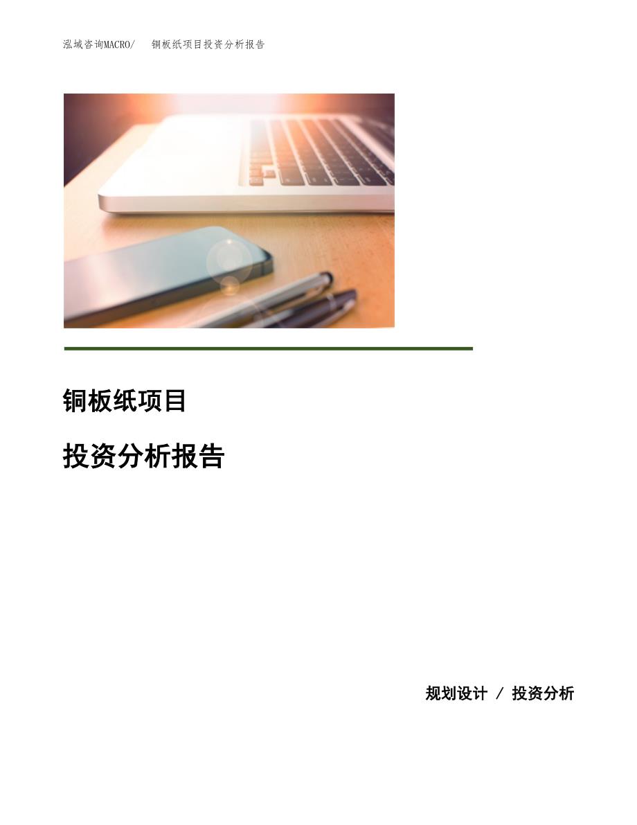 铜板纸项目投资分析报告(总投资3000万元)_第1页