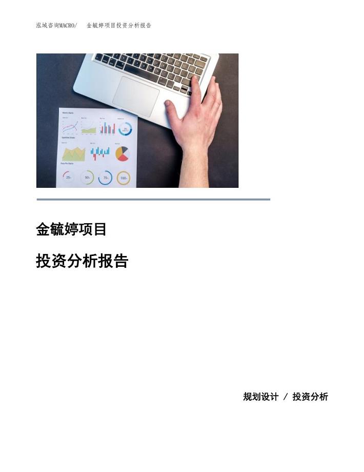 金毓婷项目投资分析报告(总投资25000万元)