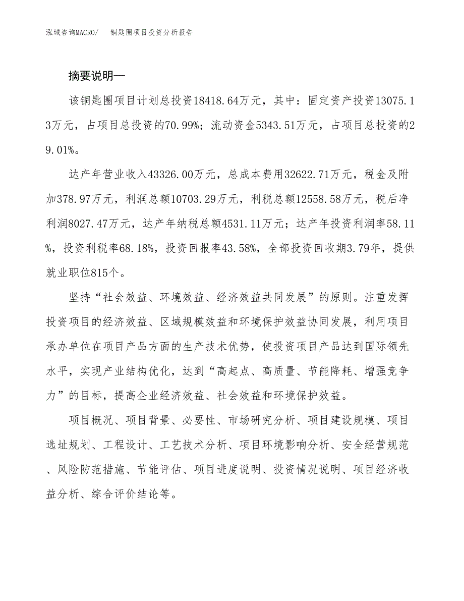 铜匙圈项目投资分析报告(总投资18000万元)_第2页