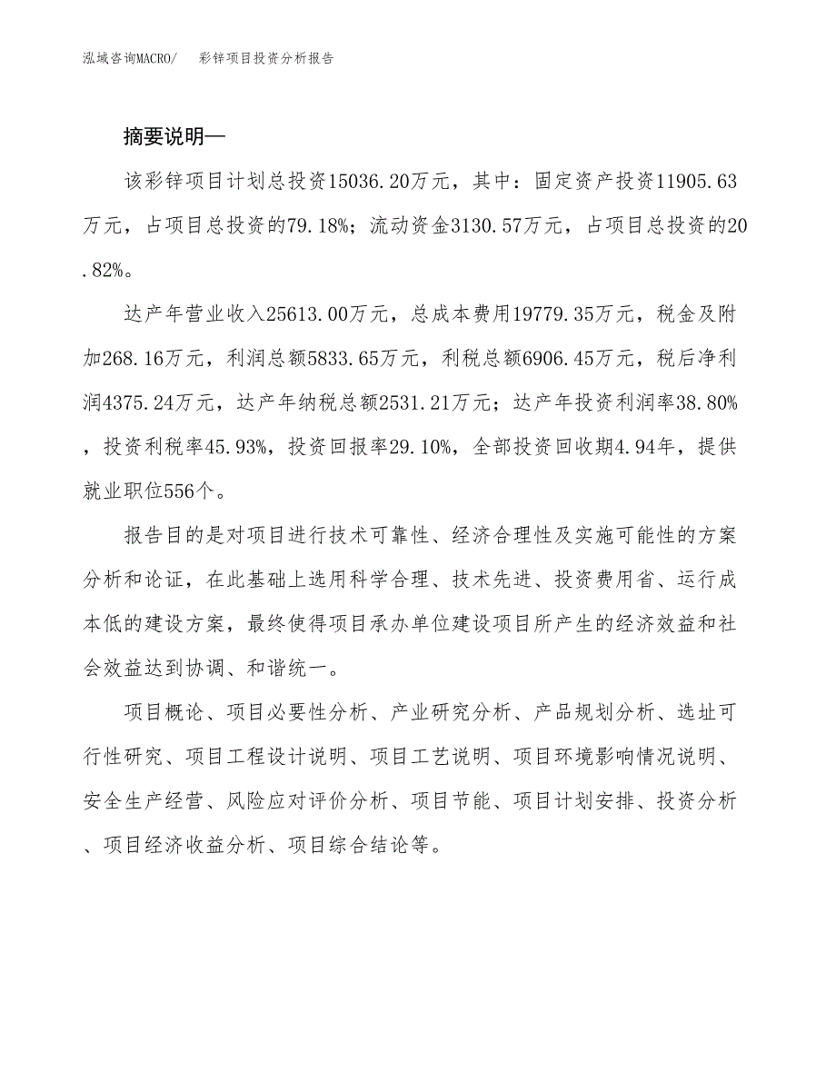 彩锌项目投资分析报告(总投资15000万元)_第2页